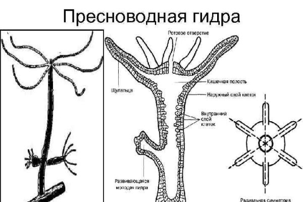 Зеркала kraken официальные kraken6.at kraken7.at kraken8.at