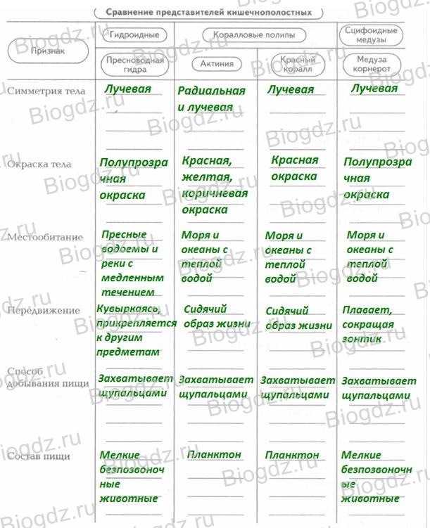 Рабочие зеркала кракена онион